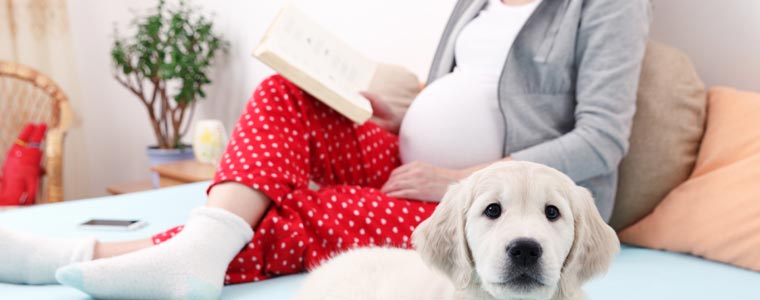 Blog grossesse : comment créer son espace photo privé ?